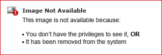 Report abuse in the discussion forums